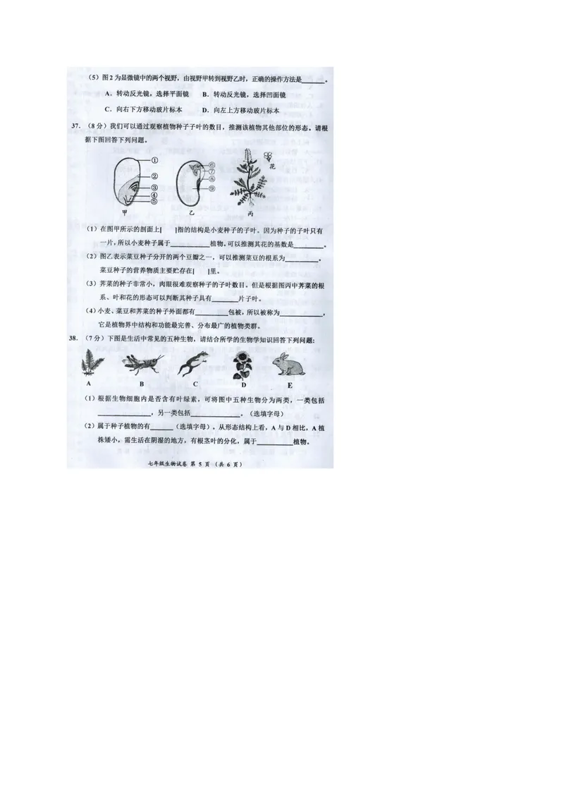 《广西来宾市2017-2018学年七年级上学期期末教学质量调研生物试题（图片版）_初中全科目同步习题+精品试卷（7-9年级）_25秋初中生物《同步习题+精品试卷》_初中生物试卷（冀少版）》第5页预览