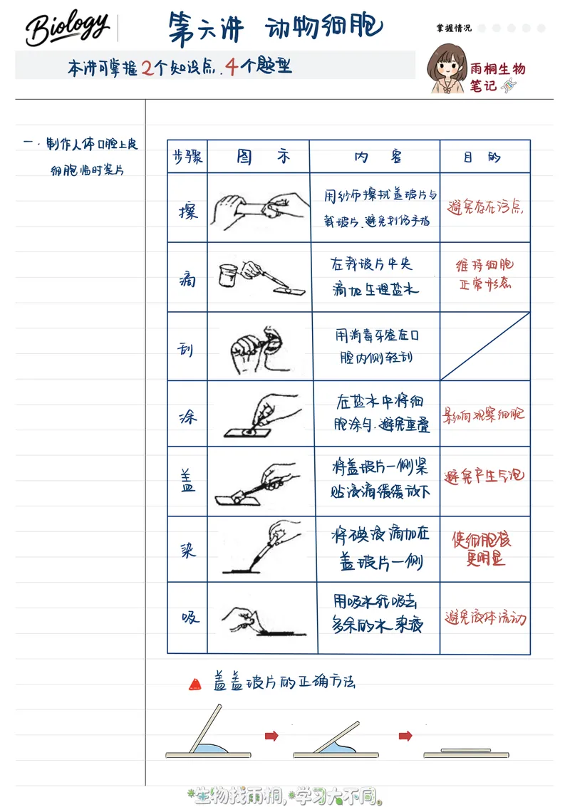 《2025秋季初一生物第六讲笔记_26初一网课_2026初一生物张雨桐_初一生物培训班（秋上·全国版·A+）-张雨桐_8.动物细胞》第1页预览