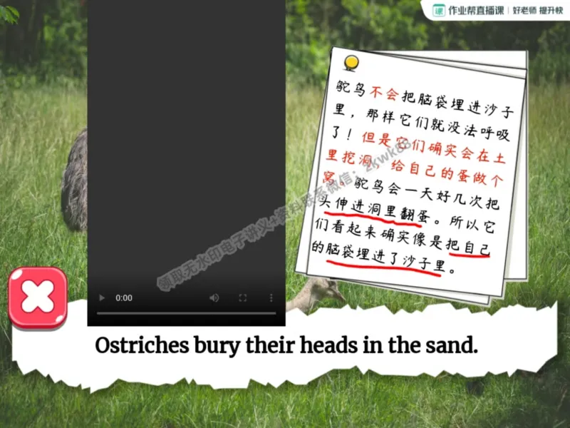 《09.课堂笔记主讲课中笔记_2025初三网课_25初三英语_25初三王凯皎英语（作业帮）_暑期班A+班_课堂笔记》第5页预览