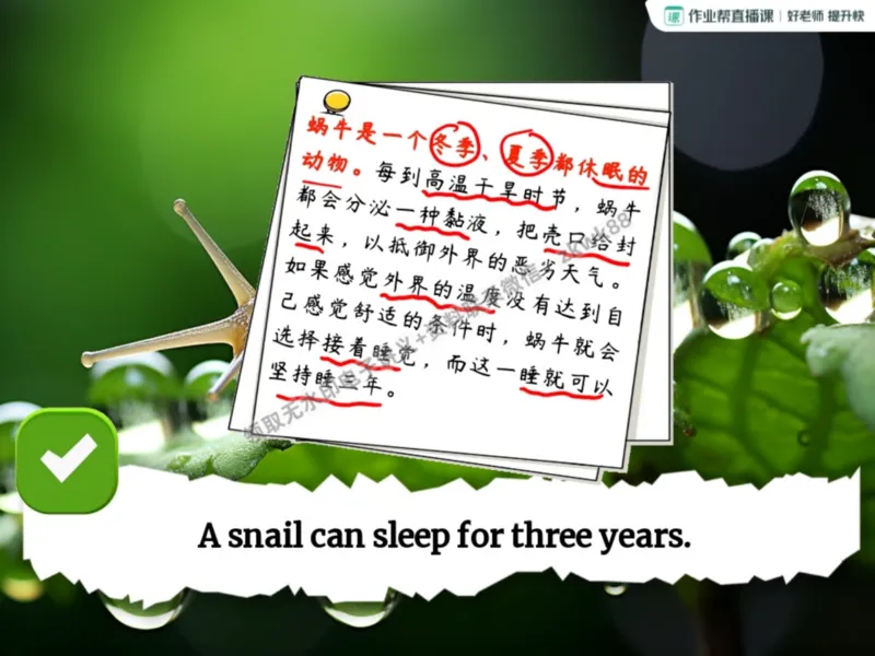 《09.课堂笔记主讲课中笔记_2025初三网课_25初三英语_25初三王凯皎英语（作业帮）_暑期班A+班_课堂笔记》第7页预览