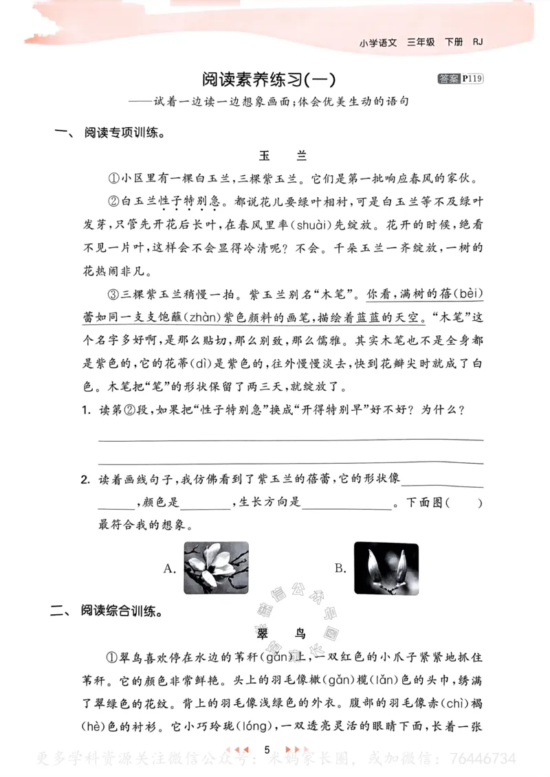 《062.24春语文53天天练三年级下册（有答案）公众号：米妈家长圈_小学1-6年级全科全套_1-6年级全科下册_三年级_其他补充资料_语文资料》第10页预览