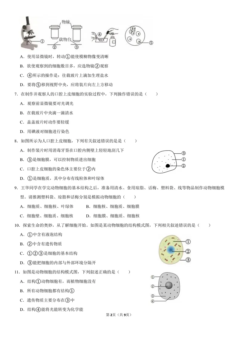 《初一生物暑假课后练习第六讲_26初一网课_2026初一生物张雨桐_初一生物培训班（秋上·全国版·A+）-张雨桐_8.动物细胞》第2页预览