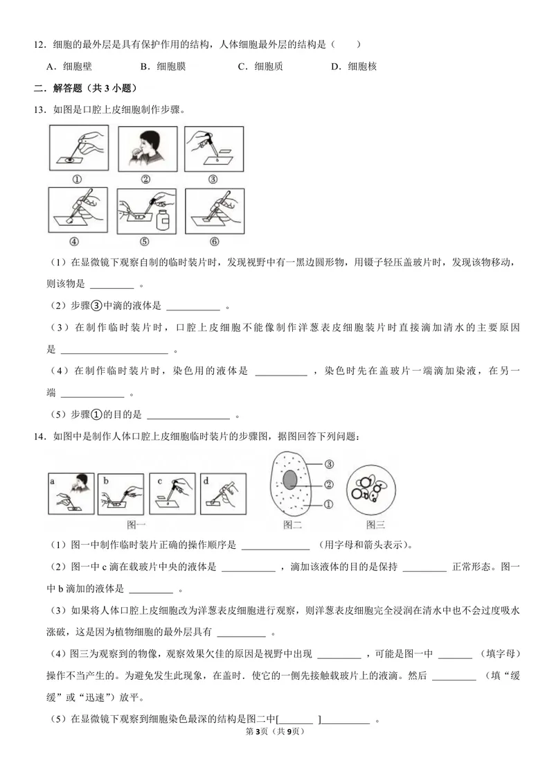 《初一生物暑假课后练习第六讲_26初一网课_2026初一生物张雨桐_初一生物培训班（秋上·全国版·A+）-张雨桐_8.动物细胞》第3页预览