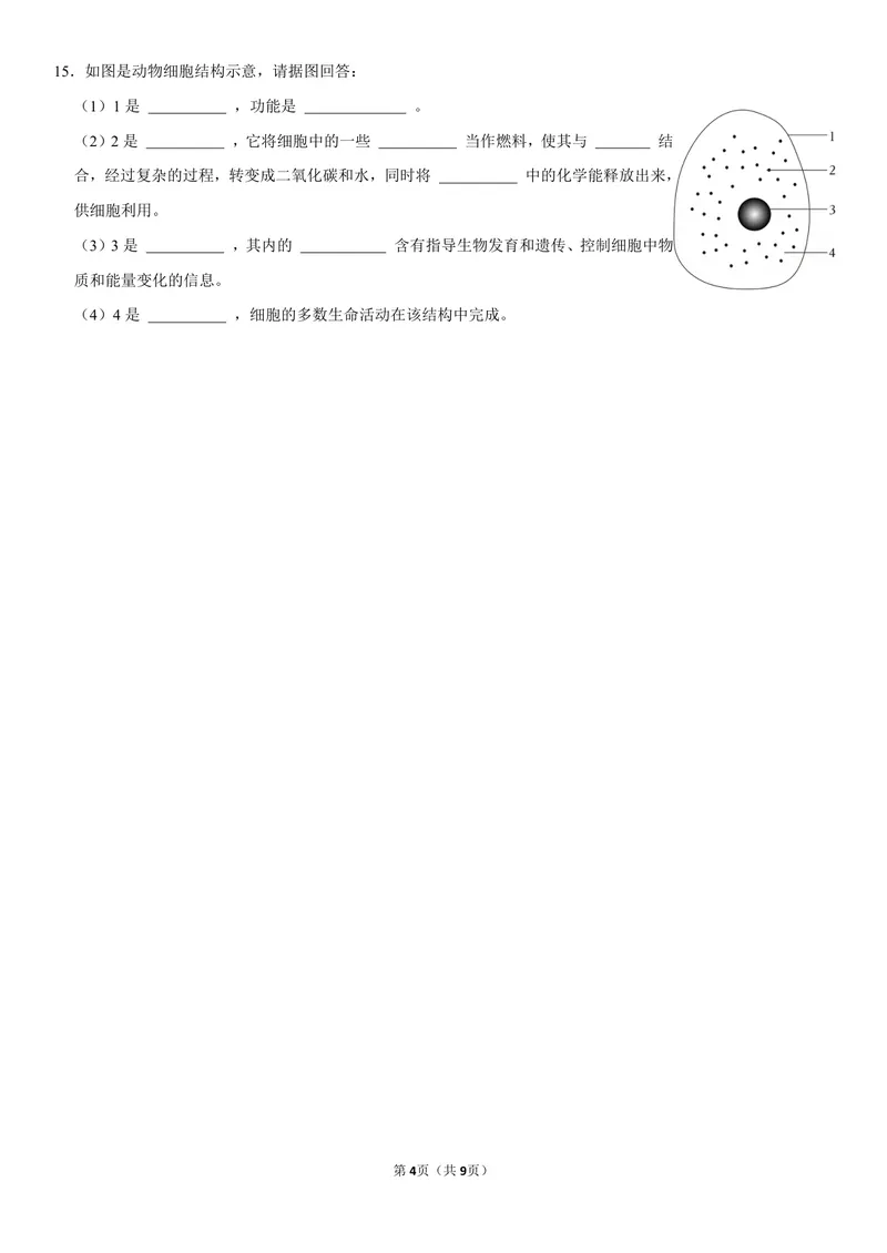 《初一生物暑假课后练习第六讲_26初一网课_2026初一生物张雨桐_初一生物培训班（秋上·全国版·A+）-张雨桐_8.动物细胞》第4页预览