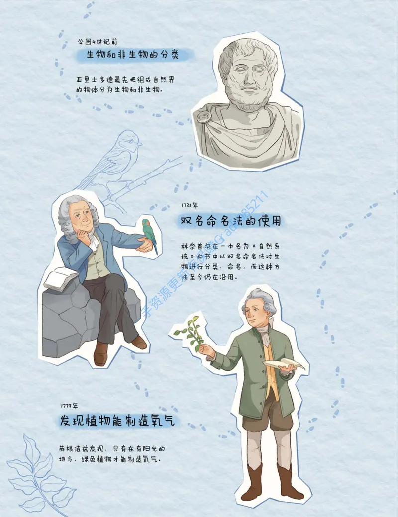 《初一生物培训班学习用书-秋上-全国版A加-讲义1-正文_26初一网课_2026初一生物张雨桐_初一生物培训班（秋上·全国版·A+）-张雨桐_讲义及拓展资料》第10页预览