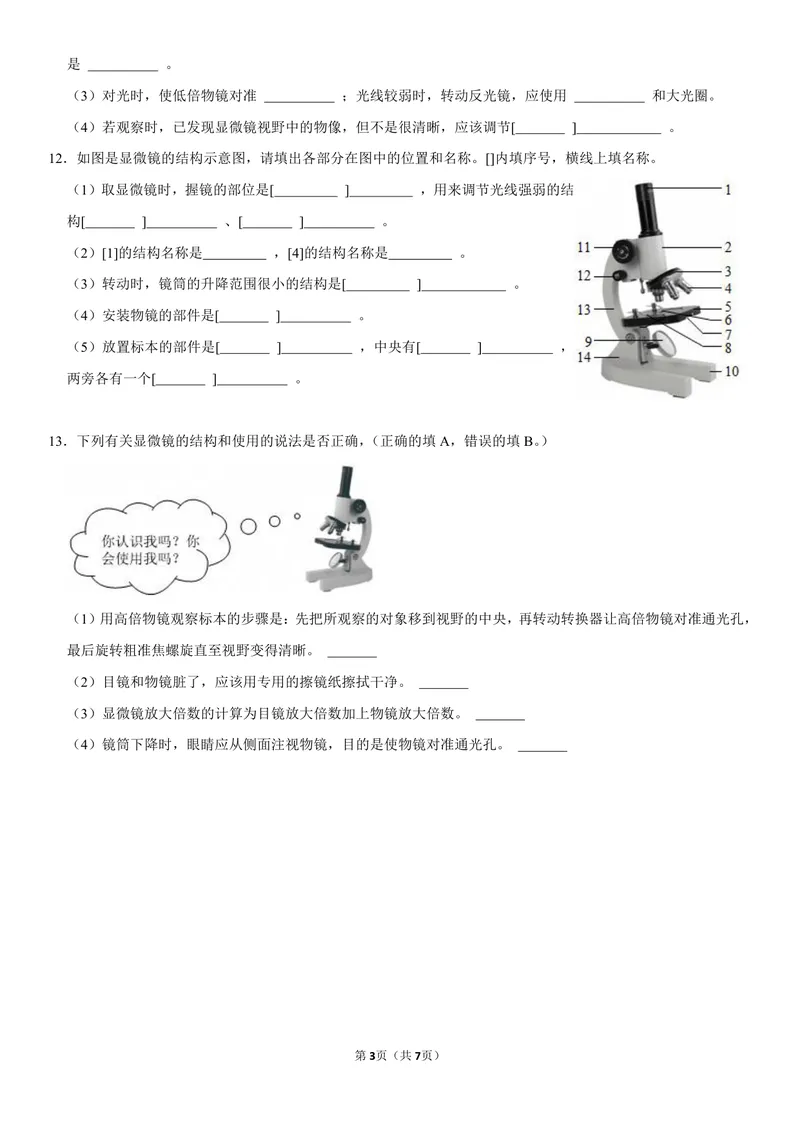 《初一生物暑假课后练习第三讲_26初一网课_2026初一生物张雨桐_初一生物培训班（秋上·全国版·A+）-张雨桐_5.生物学的研究工具》第3页预览