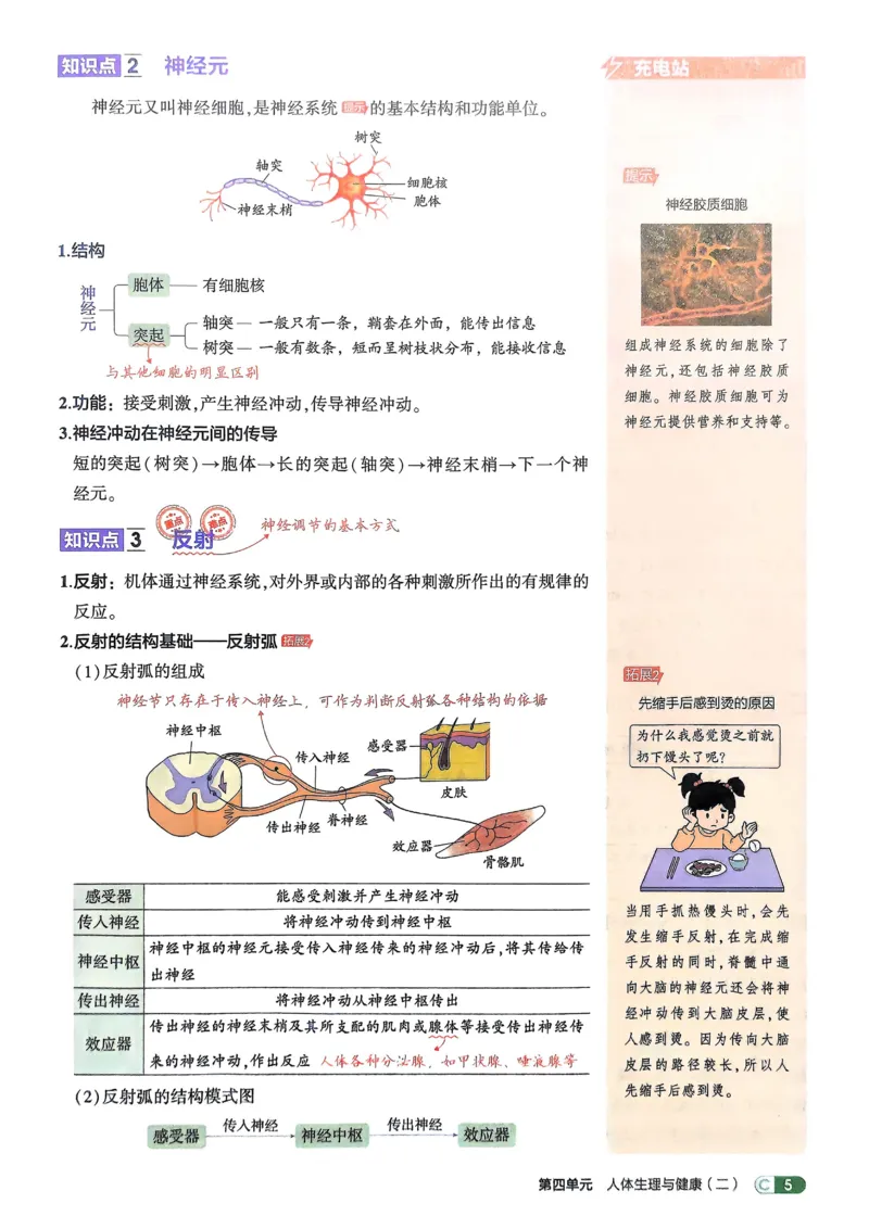 《2026《初中53同步》生物八上吃透重难点_2026版初中《5年中考3年模拟》7-9上册_2026版初中《5年中考3年模拟》8年级上册（数英物道地历生）(人教外研北师)》第7页预览