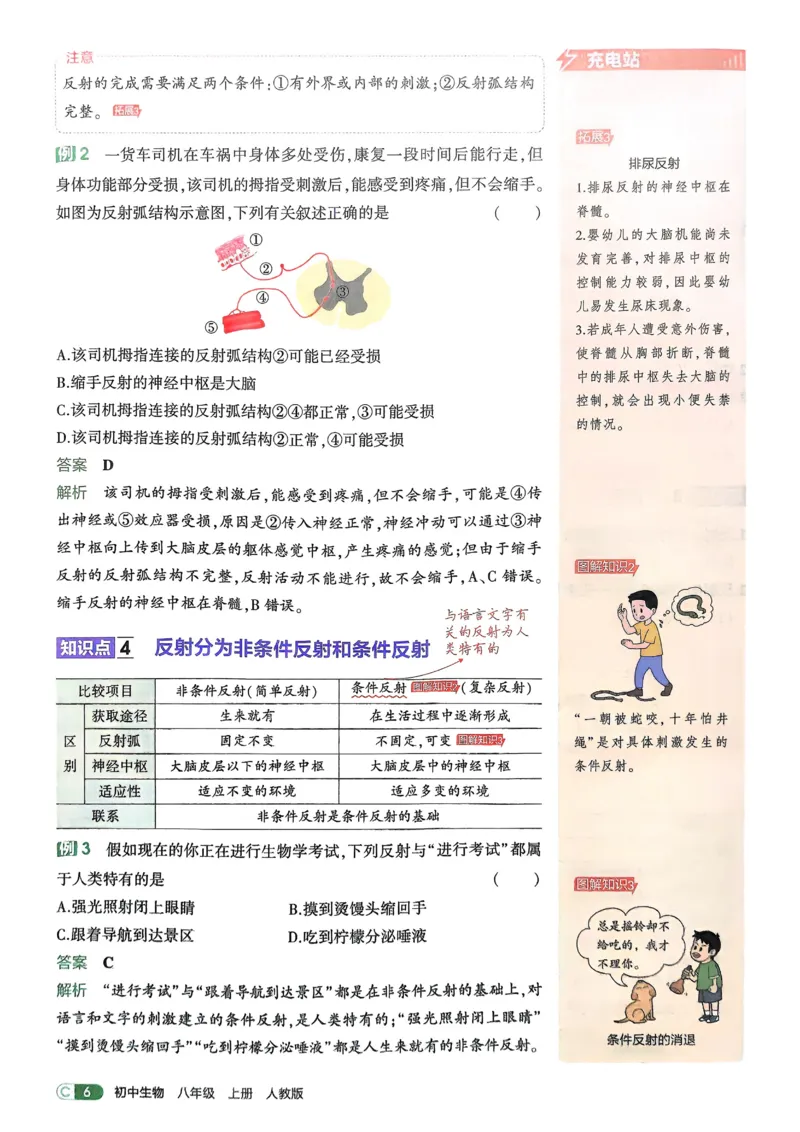 《2026《初中53同步》生物八上吃透重难点_2026版初中《5年中考3年模拟》7-9上册_2026版初中《5年中考3年模拟》8年级上册（数英物道地历生）(人教外研北师)》第8页预览