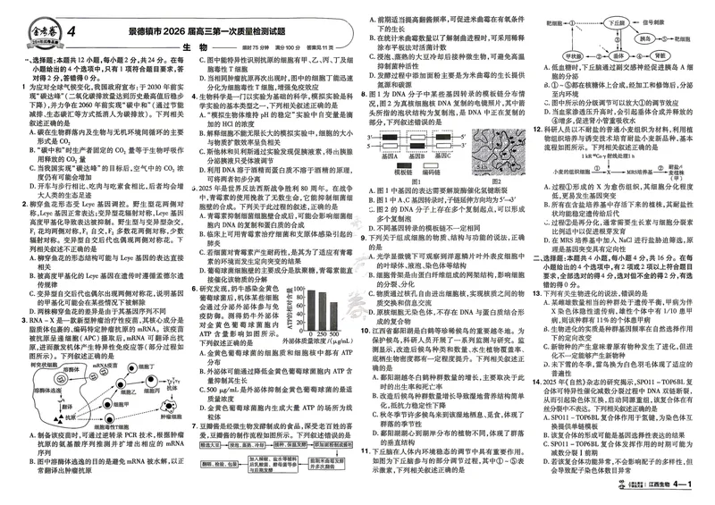 《45套卷A3_2027金考卷45套_2027《天星教育•金考卷优秀模拟试卷汇编45套》(高考)(地区版)_2027《天星教育•金考卷优秀模拟试卷汇编45套》(高考)(物化生)(江西专用)》第9页预览