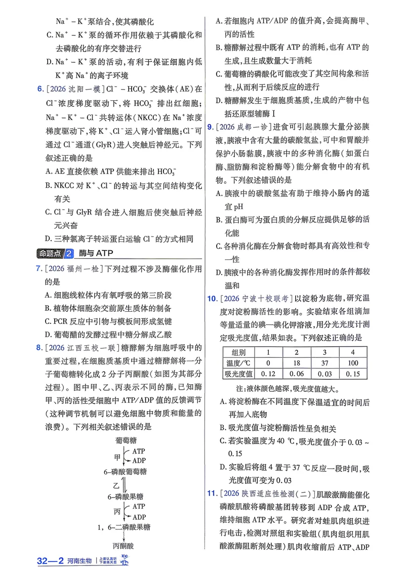 《强化小卷_2027金考卷45套_2027《天星教育•金考卷优秀模拟试卷汇编45套》(高考)(地区版)_2027《天星教育•金考卷优秀模拟试卷汇编45套》(高考)(物化生)(河南专用)_907》第6页预览
