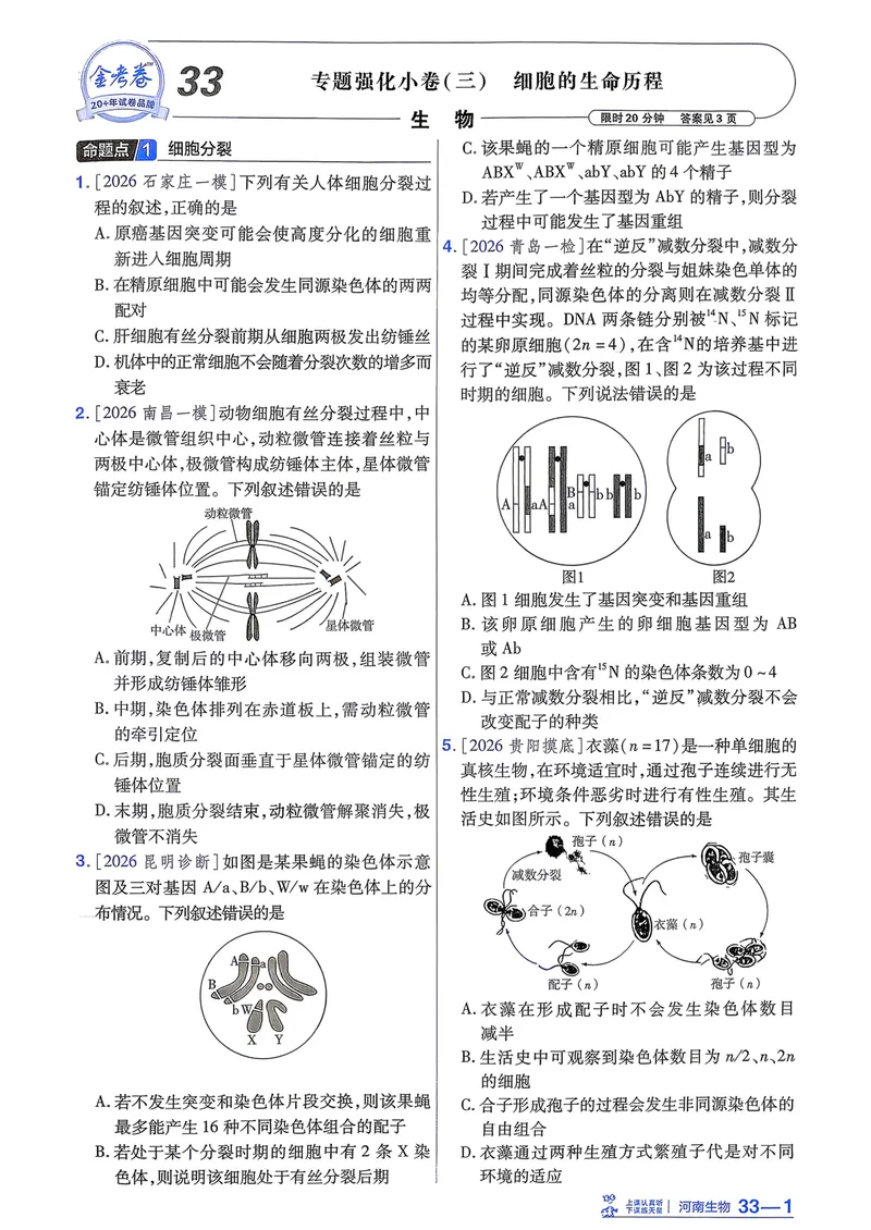 《强化小卷_2027金考卷45套_2027《天星教育•金考卷优秀模拟试卷汇编45套》(高考)(地区版)_2027《天星教育•金考卷优秀模拟试卷汇编45套》(高考)(物化生)(河南专用)_907》第9页预览