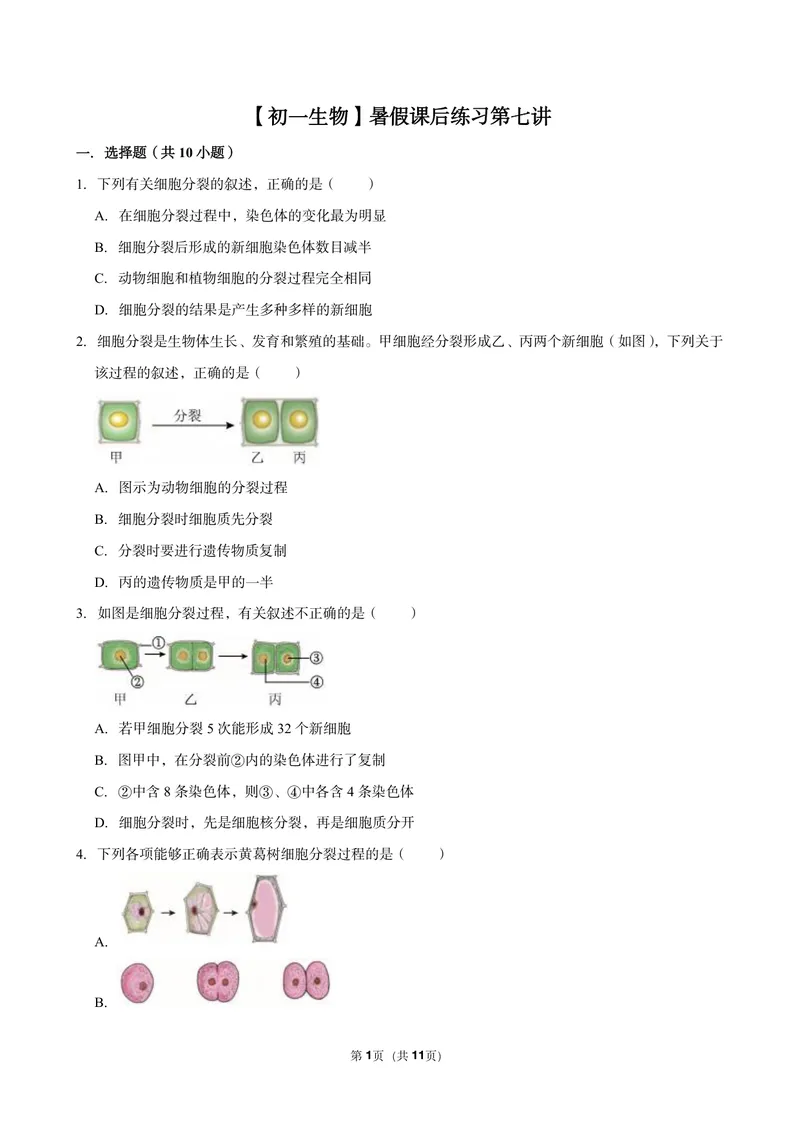 《初一生物暑假课后练习第七讲_26初一网课_2026初一生物张雨桐_初一生物培训班（秋上·全国版·A+）-张雨桐_9.细胞的分裂与分化》第1页预览