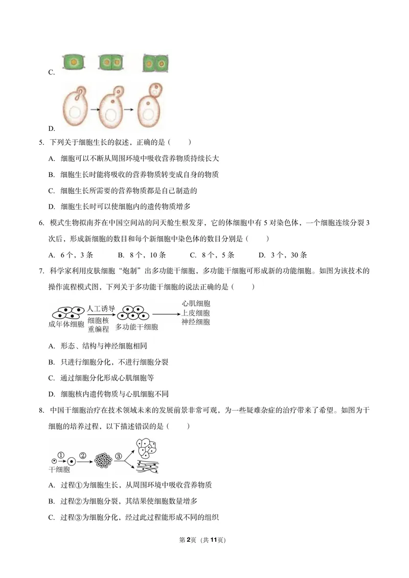 《初一生物暑假课后练习第七讲_26初一网课_2026初一生物张雨桐_初一生物培训班（秋上·全国版·A+）-张雨桐_9.细胞的分裂与分化》第2页预览