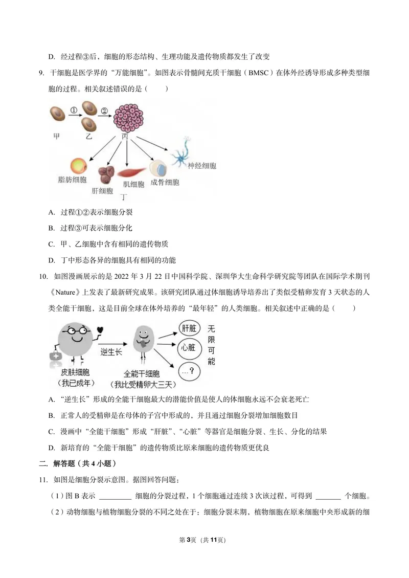 《初一生物暑假课后练习第七讲_26初一网课_2026初一生物张雨桐_初一生物培训班（秋上·全国版·A+）-张雨桐_9.细胞的分裂与分化》第3页预览