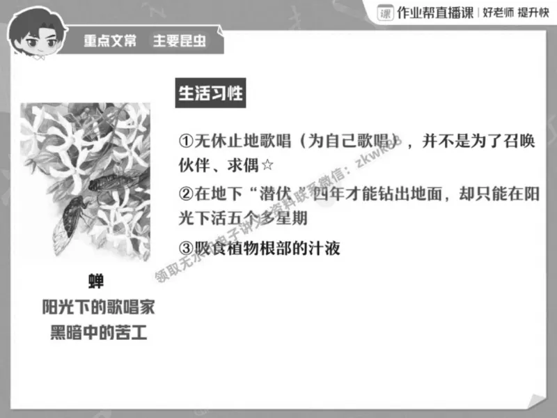 《20.课堂笔记主讲课中笔记_2025初三网课_25初三语文_1.2.2024秋上.A+班初三语文培训班（刘璐）_春季上-寒假班A+_课堂笔记》第10页预览