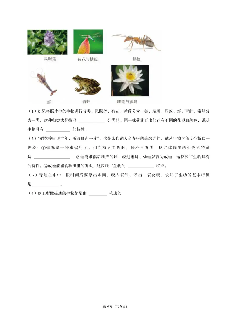 《初一生物暑假课后练习第一讲_26初一网课_2026初一生物张雨桐_初一生物培训班（秋上·全国版·A+）-张雨桐_3.认识生物》第4页预览