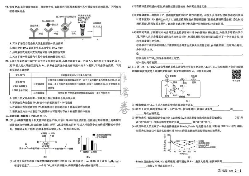 《45套主试卷A3_2027金考卷45套_2027《天星教育•金考卷优秀模拟试卷汇编45套》(高考)(地区版)_2027《天星教育•金考卷优秀模拟试卷汇编45套》(高考)(物化生)(黑吉辽蒙专用)》第9页预览