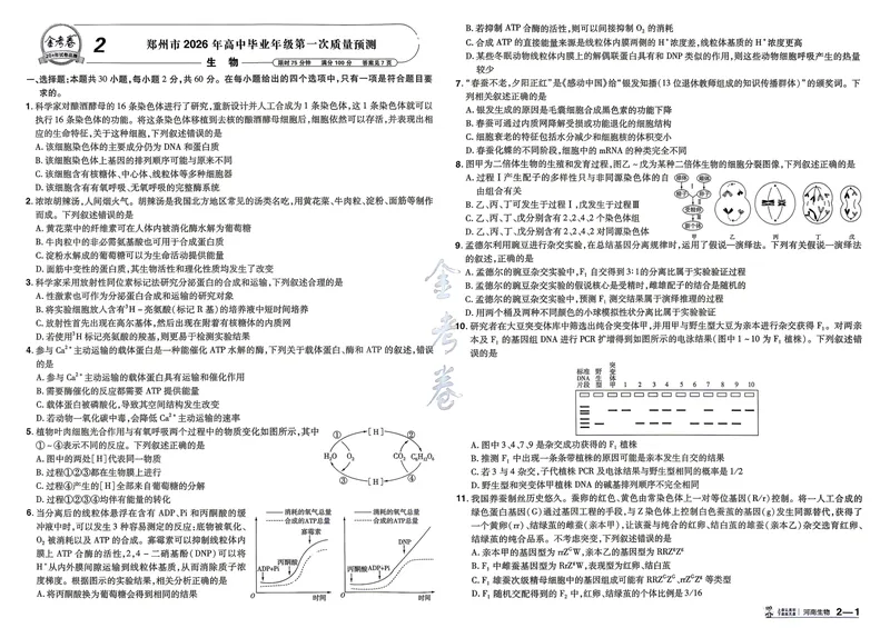 《河南生物A3_2027金考卷45套_2027《天星教育•金考卷优秀模拟试卷汇编45套》(高考)(地区版)_2027《天星教育•金考卷优秀模拟试卷汇编45套》(高考)(物化生)(河南专用)》第10页预览