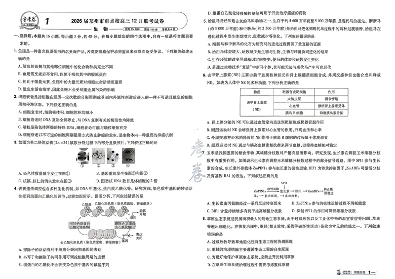 《河南生物A3_2027金考卷45套_2027《天星教育•金考卷优秀模拟试卷汇编45套》(高考)(地区版)_2027《天星教育•金考卷优秀模拟试卷汇编45套》(高考)(物化生)(河南专用)》第6页预览