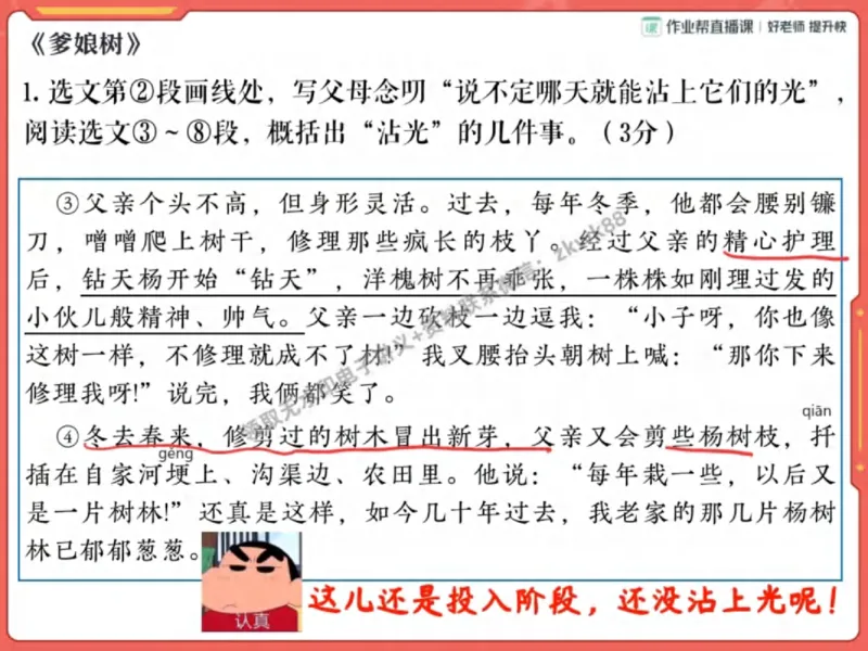《06.课堂笔记主讲课中笔记_2025初一网课_25初一语文_25初一董俣语文（作业帮）_秋季下-秋季班A+_课堂笔记》第7页预览