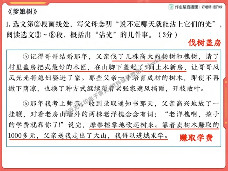 《06.课堂笔记主讲课中笔记_2025初一网课_25初一语文_25初一董俣语文（作业帮）_秋季下-秋季班A+_课堂笔记》第8页预览
