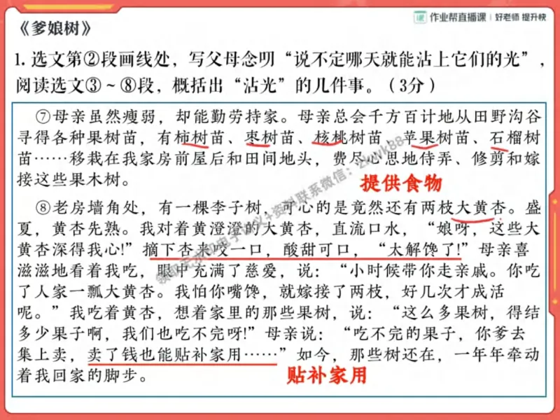 《06.课堂笔记主讲课中笔记_2025初一网课_25初一语文_25初一董俣语文（作业帮）_秋季下-秋季班A+_课堂笔记》第9页预览