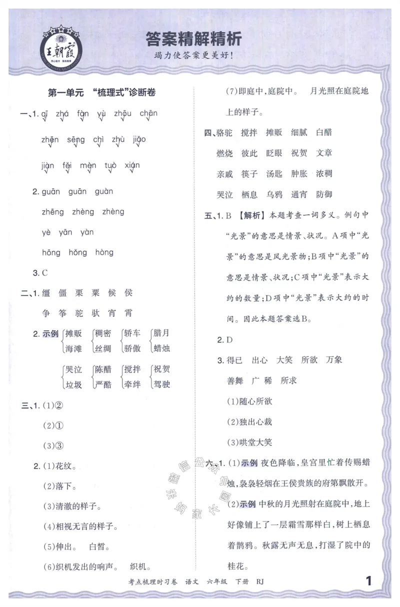 《057.24春语文王朝霞考点梳理时习卷六年级下册答案_小学1-6年级全科全套_1-6年级全科下册_六年级_其他补充资料_语文资料》第2页预览