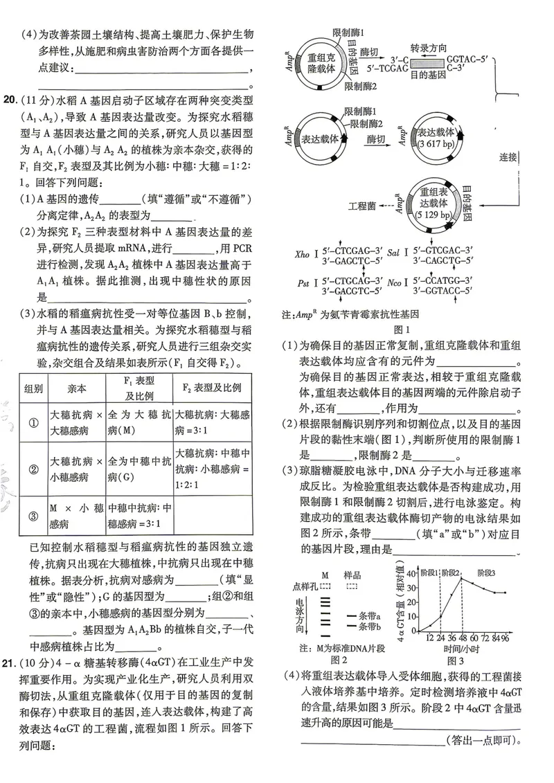 《河南生物A4_2027金考卷45套_2027《天星教育•金考卷优秀模拟试卷汇编45套》(高考)(地区版)_2027《天星教育•金考卷优秀模拟试卷汇编45套》(高考)(物化生)(河南专用)》第9页预览