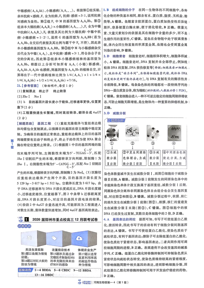 《6维解析册_2027金考卷45套_2027《天星教育•金考卷优秀模拟试卷汇编45套》(高考)(地区版)_2027《天星教育•金考卷优秀模拟试卷汇编45套》(高考)(物化生)(河南专用)_166》第6页预览