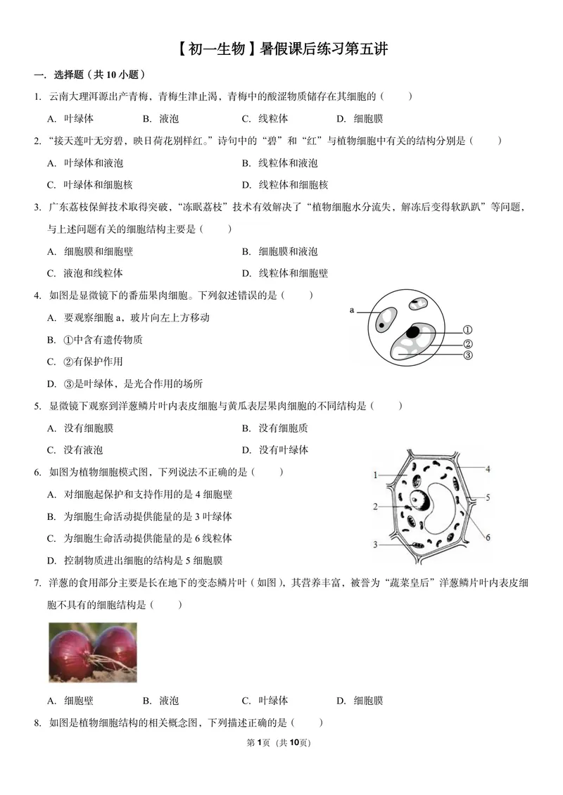 《初一生物暑假课后练习第五讲_26初一网课_2026初一生物张雨桐_初一生物培训班（秋上·全国版·A+）-张雨桐_7.植物细胞》第1页预览