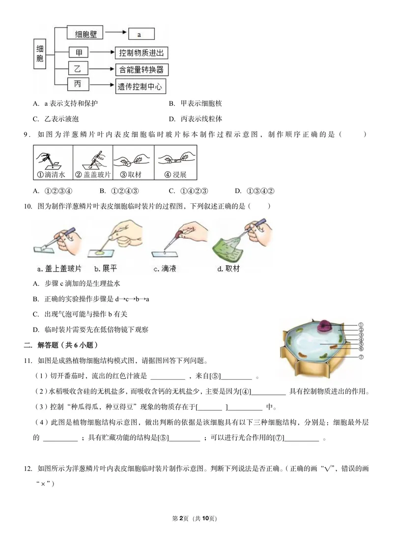 《初一生物暑假课后练习第五讲_26初一网课_2026初一生物张雨桐_初一生物培训班（秋上·全国版·A+）-张雨桐_7.植物细胞》第2页预览
