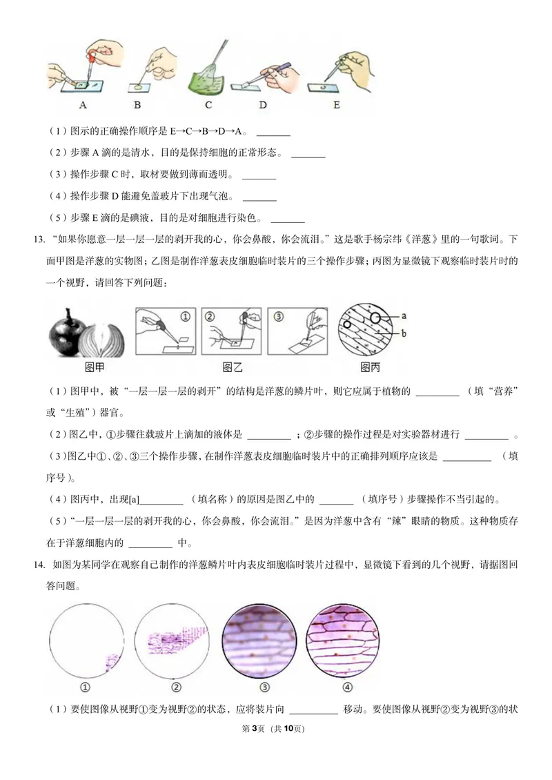 《初一生物暑假课后练习第五讲_26初一网课_2026初一生物张雨桐_初一生物培训班（秋上·全国版·A+）-张雨桐_7.植物细胞》第3页预览