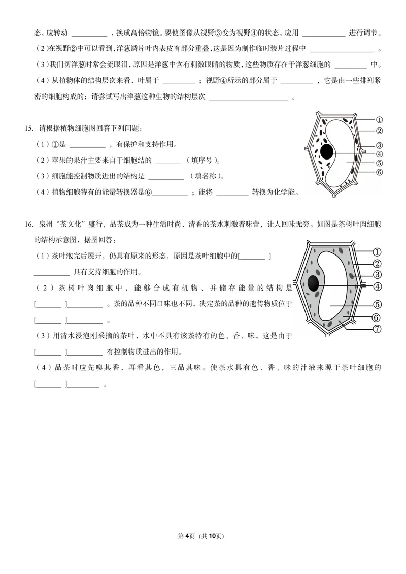 《初一生物暑假课后练习第五讲_26初一网课_2026初一生物张雨桐_初一生物培训班（秋上·全国版·A+）-张雨桐_7.植物细胞》第4页预览
