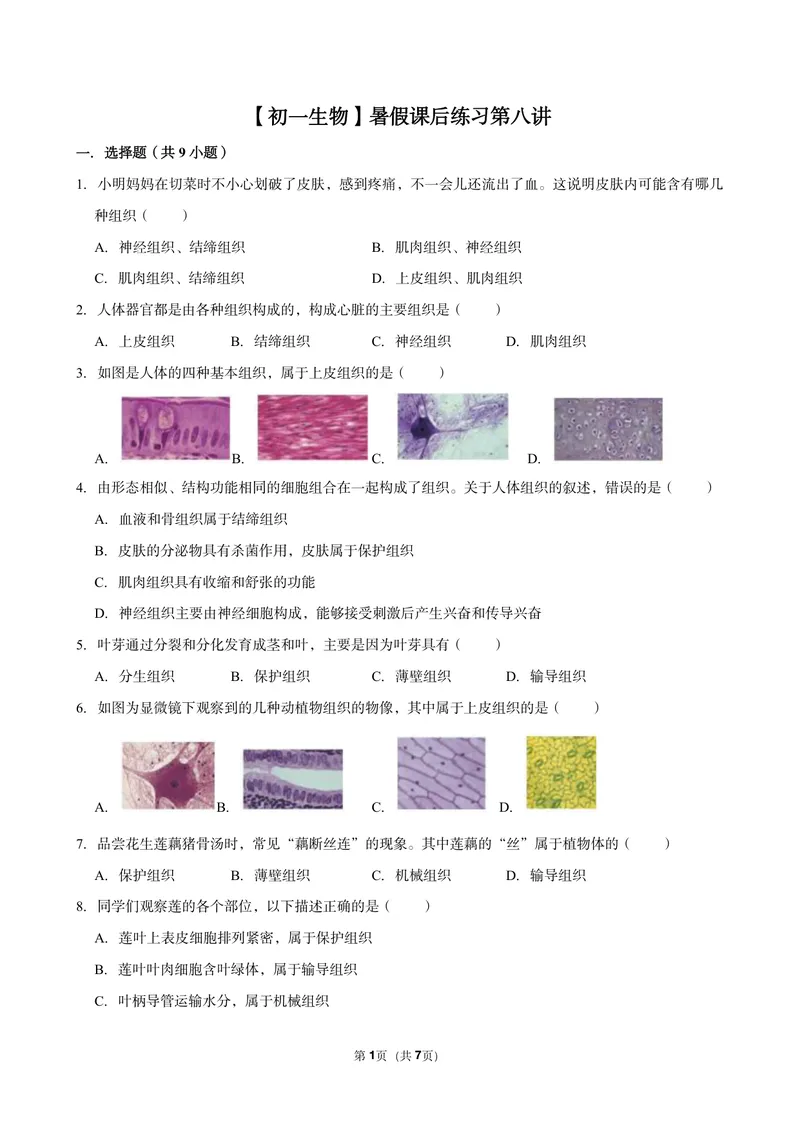 《初一生物暑假课后练习第八讲_26初一网课_2026初一生物张雨桐_初一生物培训班（秋上·全国版·A+）-张雨桐_10.生物体的基本组织》第1页预览