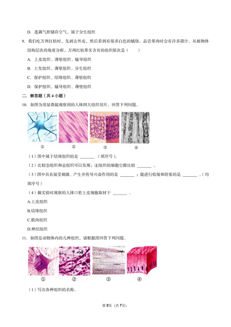 《初一生物暑假课后练习第八讲_26初一网课_2026初一生物张雨桐_初一生物培训班（秋上·全国版·A+）-张雨桐_10.生物体的基本组织》第2页预览