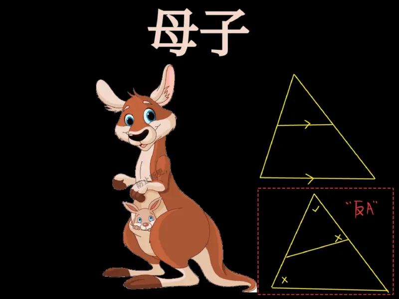 《17.课堂笔记主讲课中笔记_2025初三网课_25初三数学_25初三李爽数学（作业帮）_秋季下-秋季班A+_课堂笔记》第10页预览