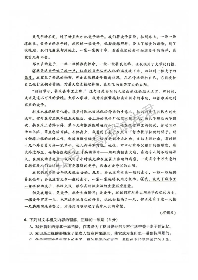 《02_语文_贵阳市第一中学2026-2027年高三年级8月高考适应性月考卷（一）_试卷+答案_小初高学习资料合集（每天更新）_贵阳市第一中学2026-2027年高三年级8月高考适应性月考卷（一）》第5页预览