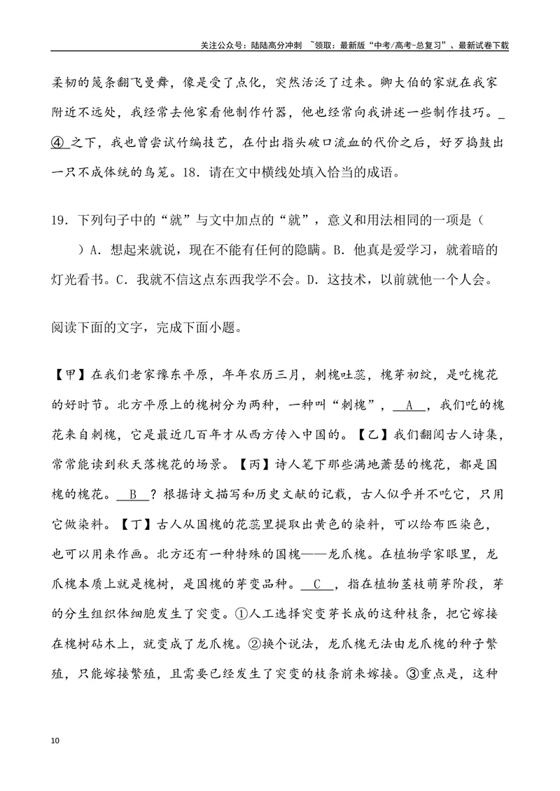 《05：语言文字运用-2024届高三语文5月各地联考试题分类汇编_专项复习_2025年_2025年高三语文各地联考试题分类汇编_资料_高三语文5月各地联考试题分类汇编》第10页预览