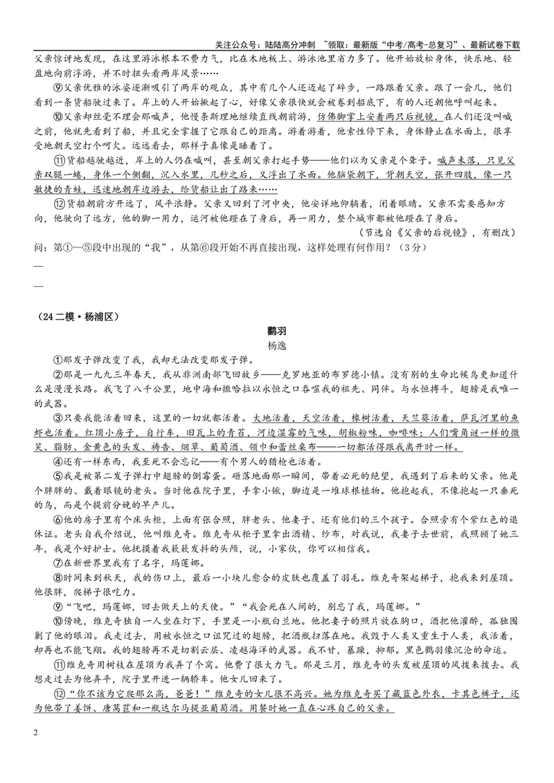 《12文学文本：叙述视角（原卷版）_专项复习_2025年_2025年高考语文文学类文本阅读16练（上海专用）》第2页预览