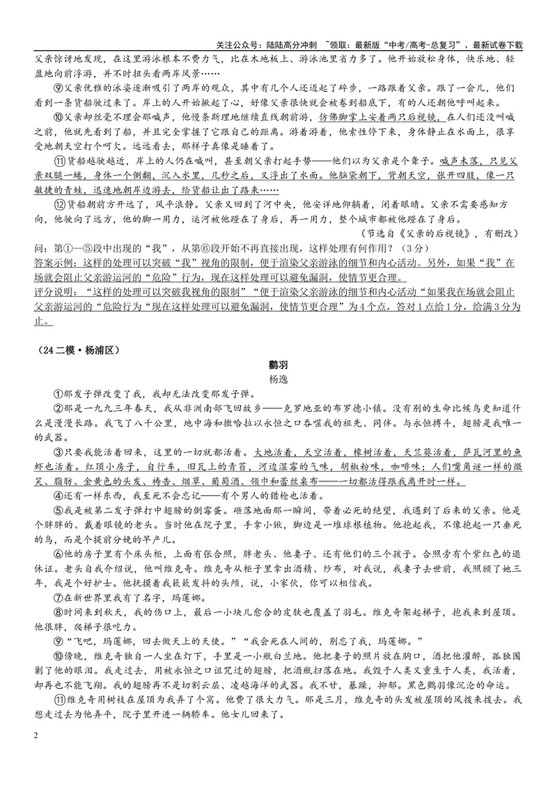 《12文学文本：叙述视角（解析版）_专项复习_2025年_2025年高考语文文学类文本阅读16练（上海专用）》第2页预览