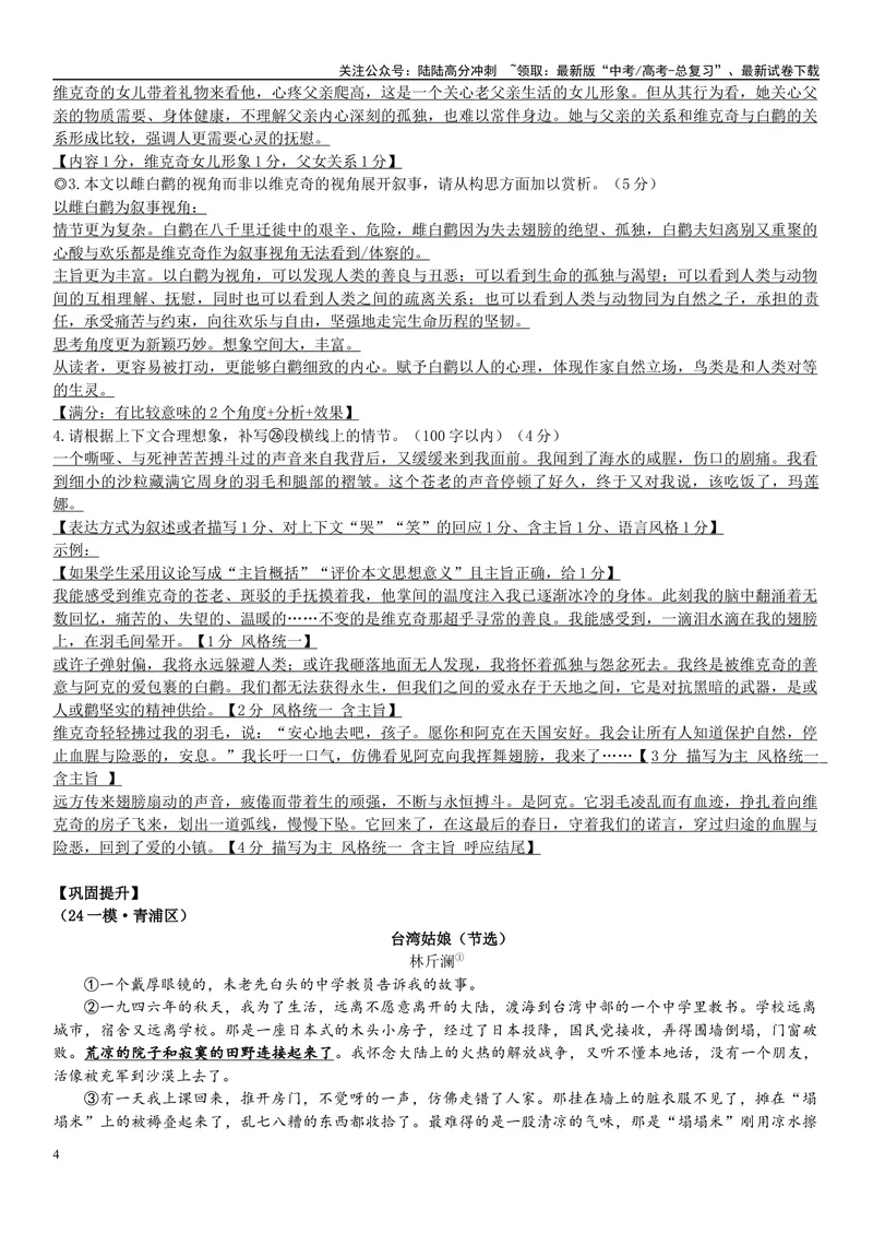《12文学文本：叙述视角（解析版）_专项复习_2025年_2025年高考语文文学类文本阅读16练（上海专用）》第4页预览