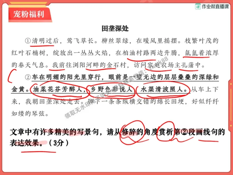 《08.课堂笔记主讲课中笔记_2025初一网课_25初一语文_25初一董俣语文（作业帮）_暑期班A+班_课堂笔记》第3页预览