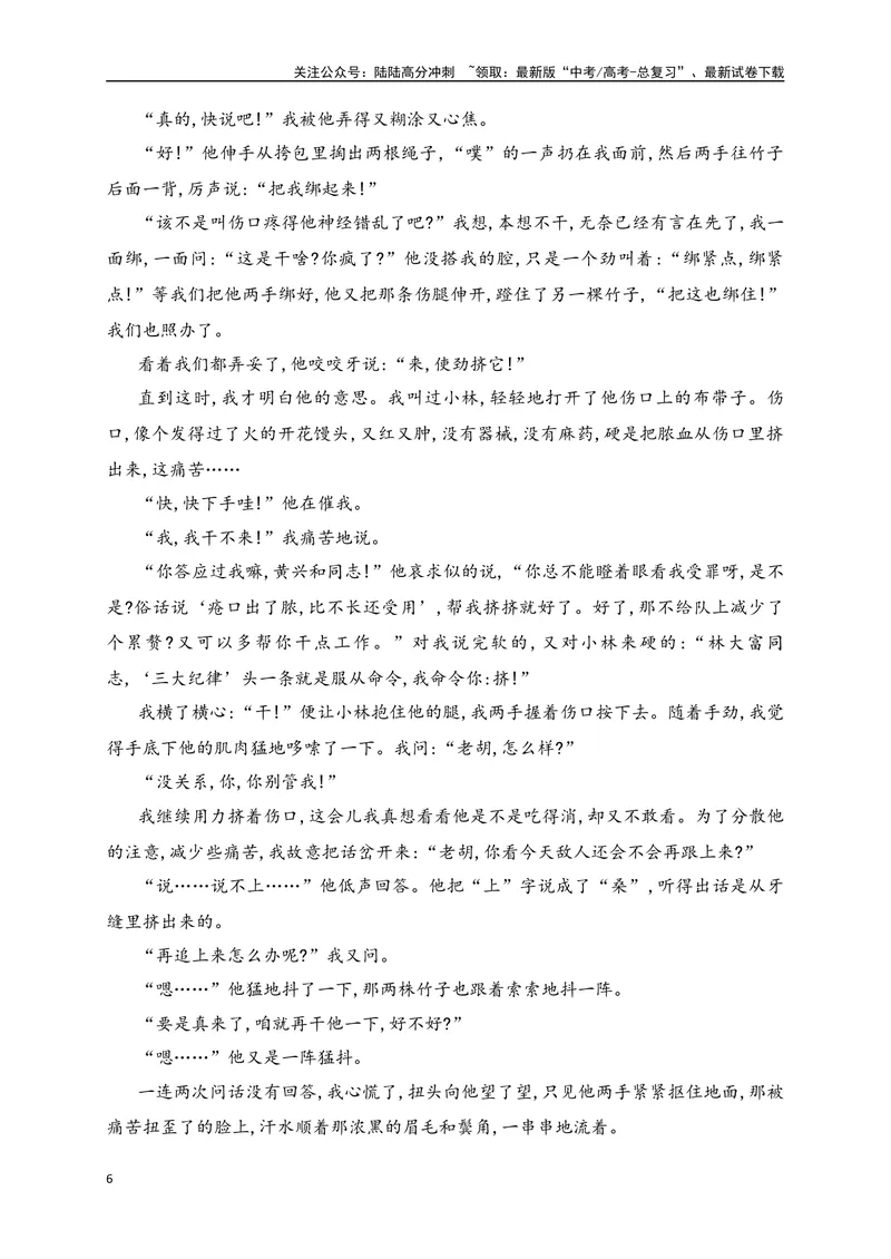 《032021-2024新高考全国甲卷文学类文本真题汇编训练（原卷版）_一轮复习_2025年_2025年高考语文一轮复习之文学类阅读（全国通用）_资料_1-资料》第6页预览