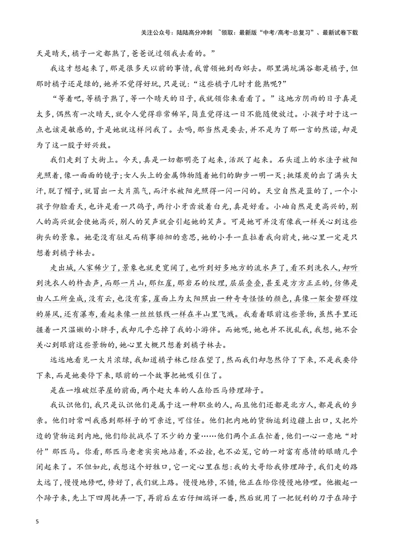 《13散文阅读（赏析散文的艺术技巧）-12页_二轮复习_2025年_2025年高考语文二轮复习之现代文阅读（全国通用）》第5页预览