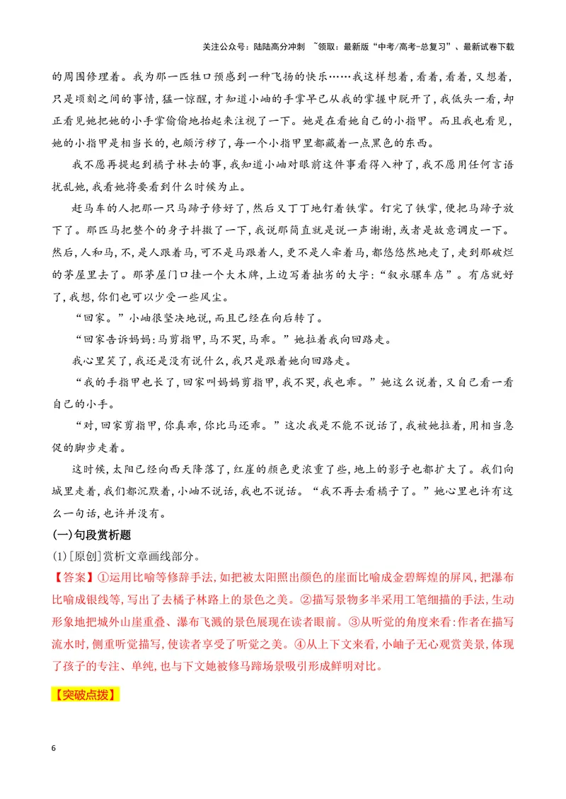 《13散文阅读（赏析散文的艺术技巧）-12页_二轮复习_2025年_2025年高考语文二轮复习之现代文阅读（全国通用）》第6页预览