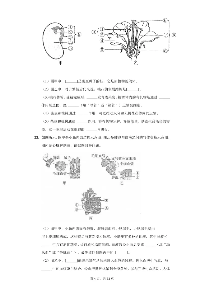 《2021年辽宁省丹东市中考生物试卷（附答案详解）_12.2026年4月全国各地高考模拟卷_2026版初中金考卷•45套中考试卷汇编系列合集_全国版中考真题(1)_辽宁各地中考_辽宁生物（24）》第4页预览