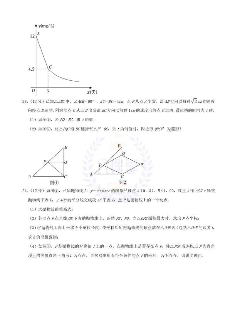 《2022年山东省枣庄市中考数学真题（原卷版）_12.2026年4月全国各地高考模拟卷_2026版初中金考卷•45套中考试卷汇编系列合集_全国版中考真题(1)_各省市《历年中考真题》2013-2024(10)_山东》第8页预览