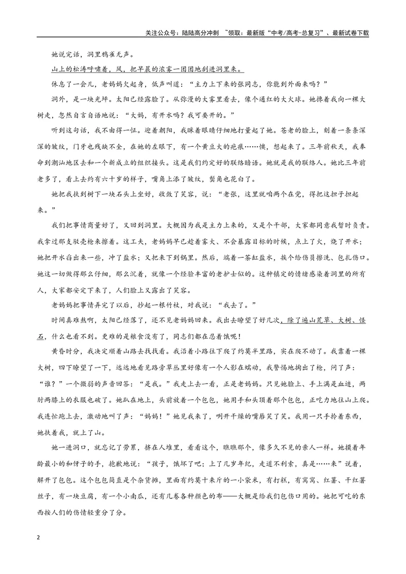《13（文学文本阅读）赏析叙事艺术（教师版）_专项复习_2025年_2025年高考语文题型全练点对点（新高考地区通用）_资料》第2页预览