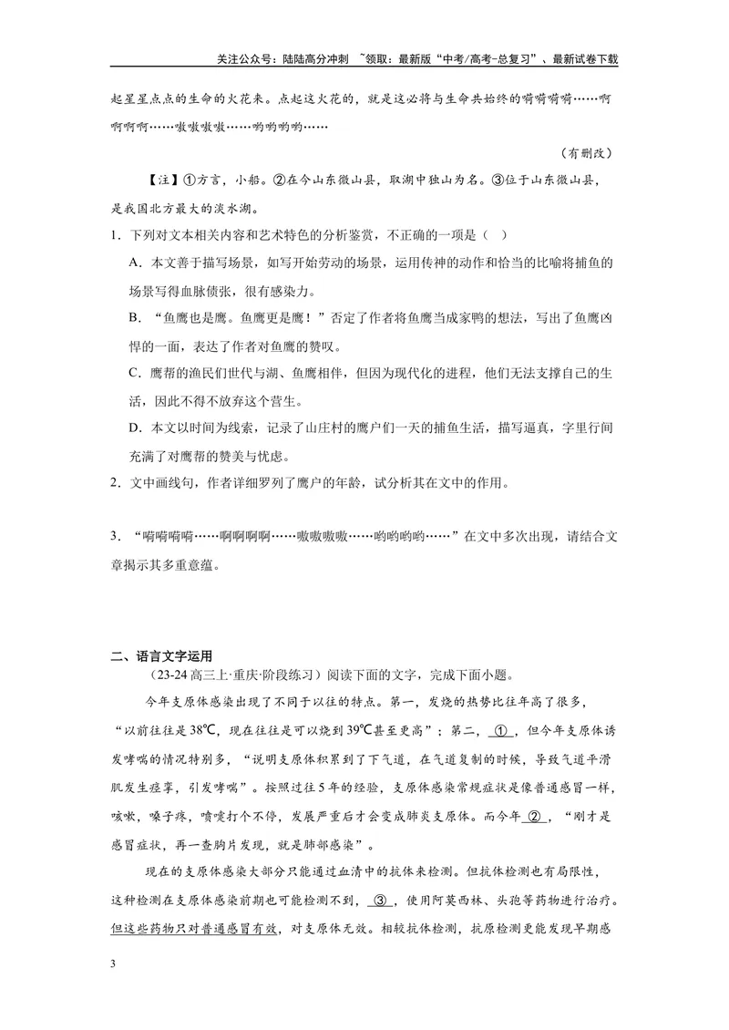 《17文学类文本阅读、语言文字运用（一）（原卷版）_一轮复习_2025年_2025年高考语文一轮复习限时训练_资料_1-资料》第3页预览