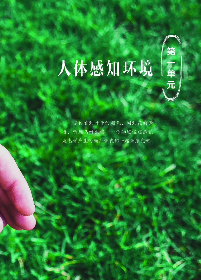 《06六制六下科学（2023新版）_小学1-6年级全科全套_2025更新专题（含教材）_寒假预复习必备资料2024新版小学教材电子版_小学科学_青岛版（无水印）_六制》第7页预览